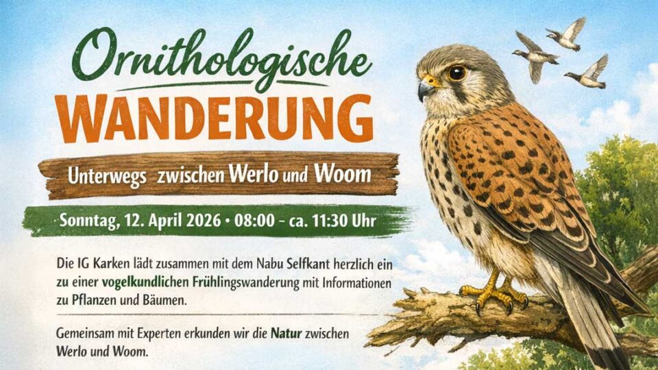 Ornithologische Wanderung
